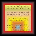 ashrif naqvi 01 * 22.03.2008 * 339 x 695 * (38KB)